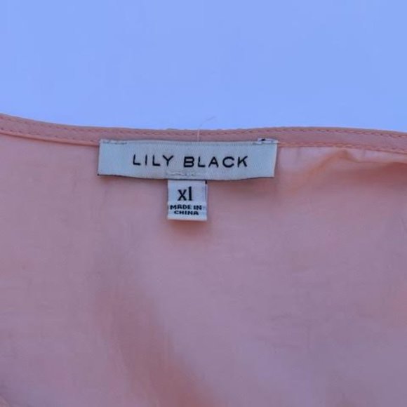 Chiffon Pink Blouse - Picture 7 of 14